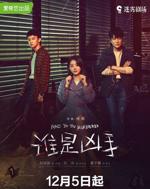 谁是凶手,揭秘谁是幕后真凶