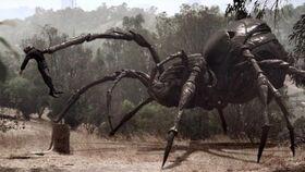 巨蛛怪,神秘森林中的恐怖传说