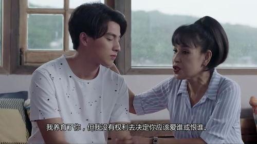 与爱同居之永恒的爱,探寻爱情与生活的和谐共鸣